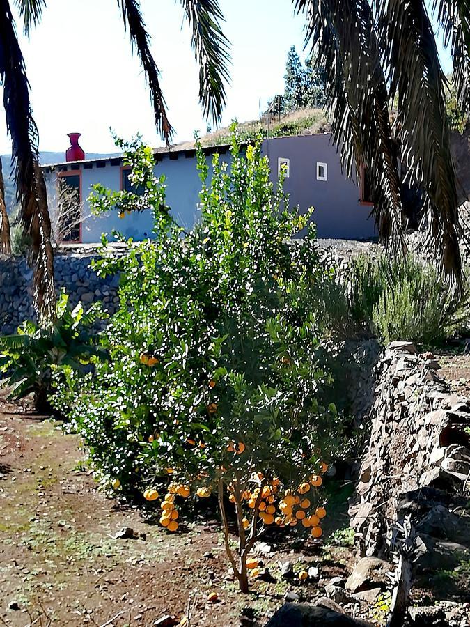 Casa La Montana Villa El Cedro Exterior photo